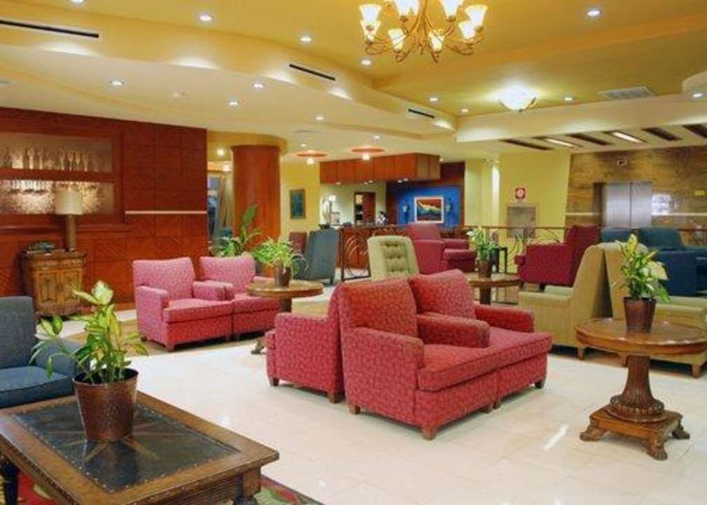 Suites Las Palmas, Hotel & Apartments. サンサルバドル インテリア 写真