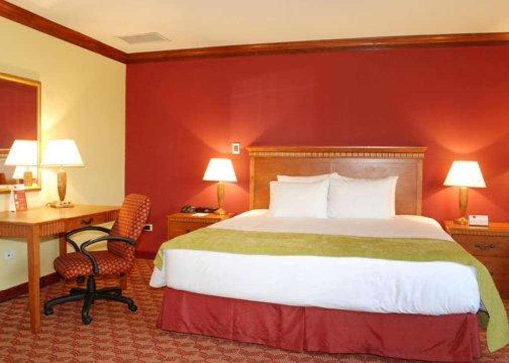 Suites Las Palmas, Hotel & Apartments. サンサルバドル 部屋 写真